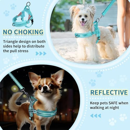 SlowTon No Pull Small Dog Harness and Leash Set - Image 3