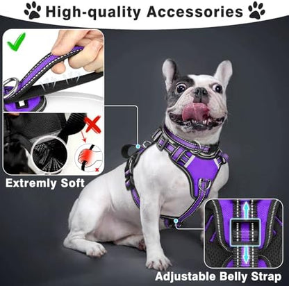 WINSEE Pet Harness Collar and Leash Set, All-in-one Reflective Dog Harness No - Image 2