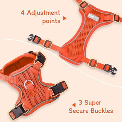 Small Dog Harness and Leash Set, Adjustable Small Sized Pet Vest - Image 3