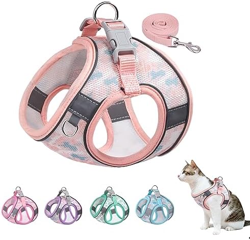 Step-in Dog Harness and Leash Set by BTDCFY