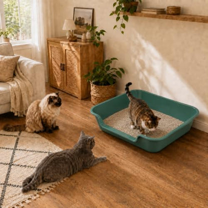 Extra Large Low Entry ABS Cat Litter Box, 1 Pack - Image 2