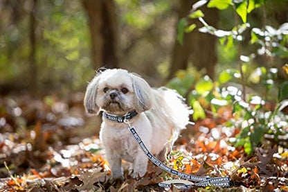 Pets First Seattle Seahawks Leash - Image 2