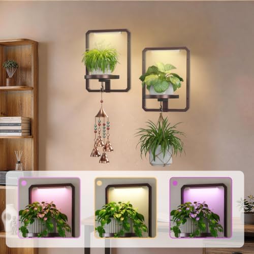 LASZOLA Plant Picture Frame Holder Shelf Wall - Image 4