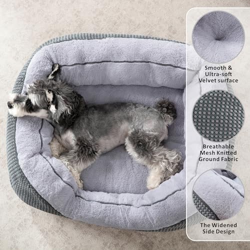 INVENHO Dog Bed for Small Dogs - Image 2