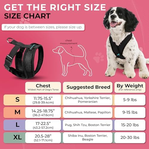 Gooby Comfort X Head-in Dog Harness, Choke-Free - Image 4