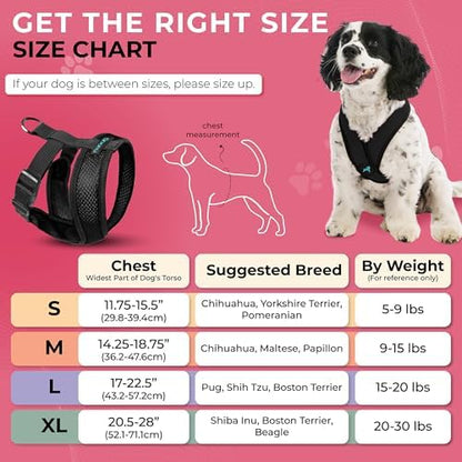 Gooby Comfort X Head-in Dog Harness, Choke-Free - Image 4