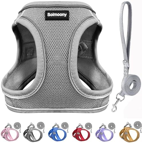 Solmoony Sparkly XS Dog Harness and Leash Set, Step in Soft Light Puppy Vest by SOLMOONY