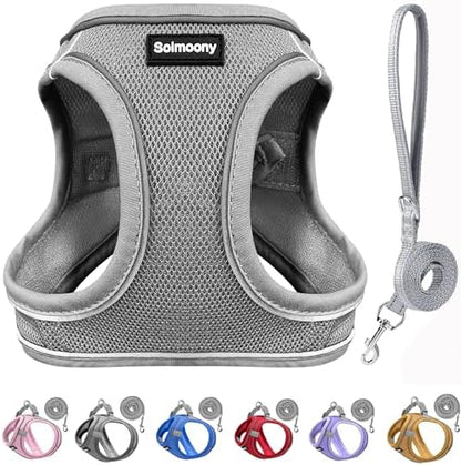 Solmoony Sparkly XS Dog Harness and Leash Set, Step in Soft Light Puppy Vest by SOLMOONY