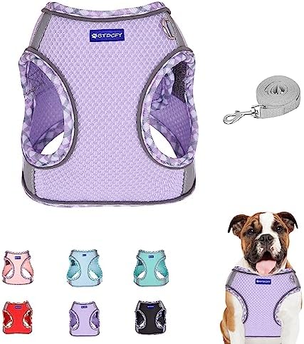 Step in Mesh Dog Harness and Leash Set Breathable Air Mesh Harness by BTDCFY