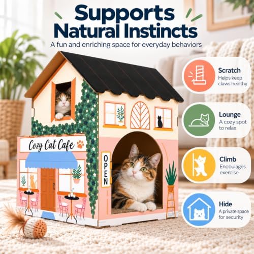 American Cat Club Cat House - Image 3