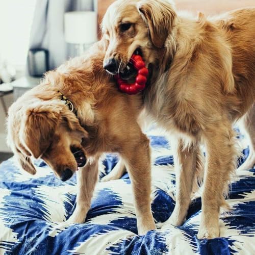 KONG Ring, Natural Rubber Chew Toy - Image 2