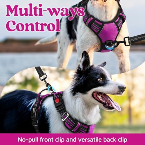 rabbitgoo Dog Harness Medium Sized, No Pull 3 Buckles Easy On & Off - Image 3