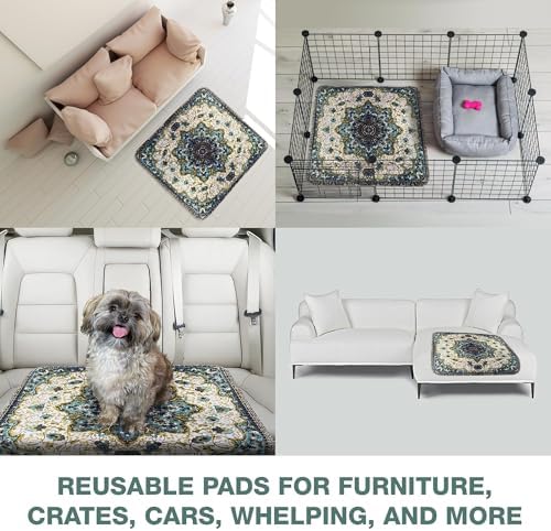 PUPIBOO Washable Pee Pads for Dogs and Cats - Image 3