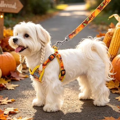 PUPTECK Thanksgiving Dog Harness and Leash Set Small Sized, Step in No Pull - Image 5