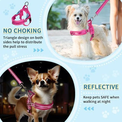 SlowTon No Pull Small Dog Harness and Leash Set - Image 3