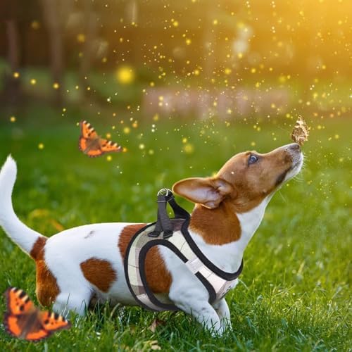 KOOLTAIL Small Dog Harness & Leash Set, Soft Mesh Padded Adjustable Reflective - Image 6