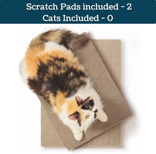 Refill Pads for No-Mess Cat Scratcher Box - Image 2