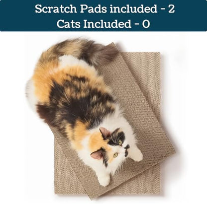 Refill Pads for No-Mess Cat Scratcher Box - Image 2