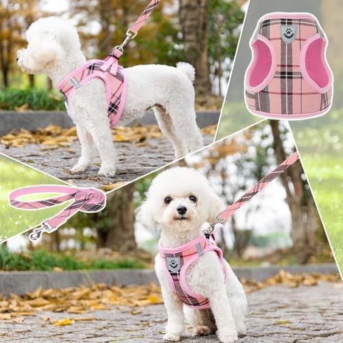 KOOLTAIL Dog Harness for Small Medium Dogs, Dog Harness and Leash Set, Step in - Image 6
