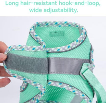 Petank Dog Harness for Small Medium Dogs No Pull, Puppy Harness and Leash Set - Image 6
