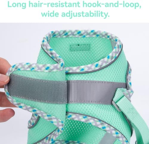 Petank Step in Dog Harness No Pull and Leash - Image 6