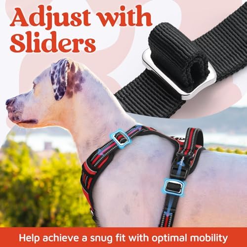 rabbitgoo Dog Harness for Large, No Pull 3 Buckles Easy On & Off - Image 5