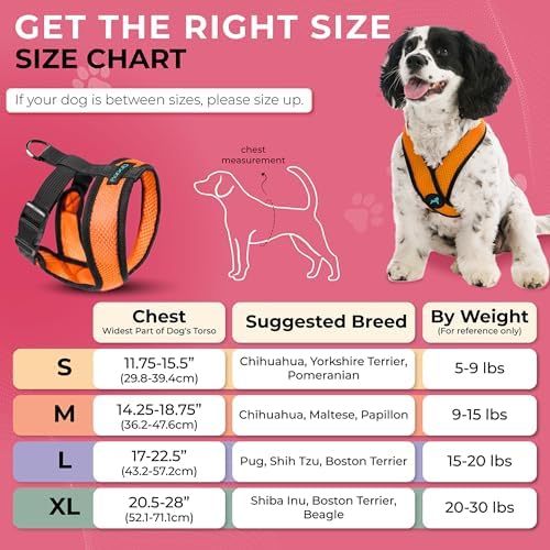 Gooby Comfort X Head-in Dog Harness, Choke-Free - Image 3