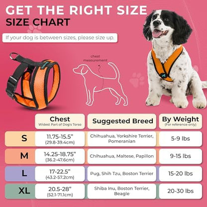 Gooby Comfort X Head-in Dog Harness, Choke-Free - Image 3