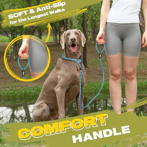 Fida Durable Slip Lead Dog Leash, 6 FT x 1/2" Heavy Duty Loop Comfortable - Image 6