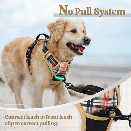 rabbitgoo Dog Harness, No Pull Medium Sized - Image 5