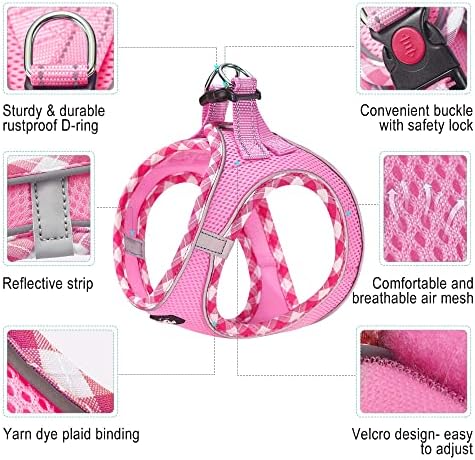 haapaw Dog Harness with Leash Set, No Pull Adjustable Reflective Step-in Puppy - Image 2
