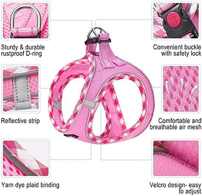 haapaw Dog Harness with Leash Set, No Pull Adjustable Reflective Step-in Puppy - Image 2