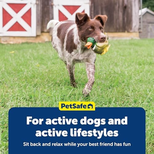 PetSafe Animal Squeak Dog Toy - Image 7