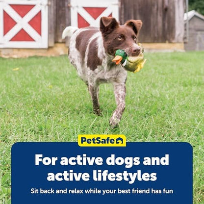PetSafe Animal Squeak Dog Toy - Image 7