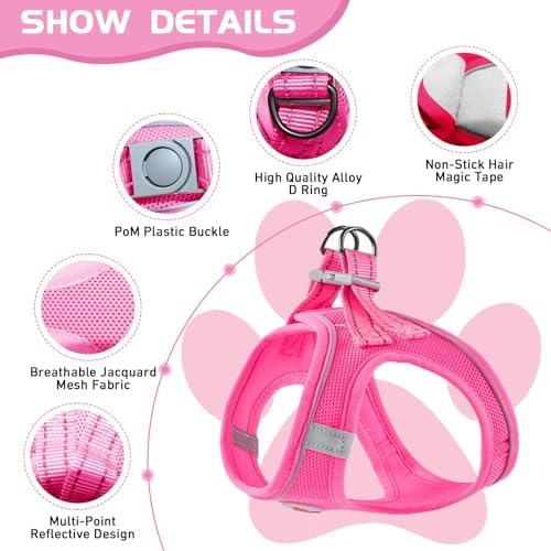 Soft Mesh Dog Harness and Leash Set, No Pull Puppy Harness and Leash Set - Image 2