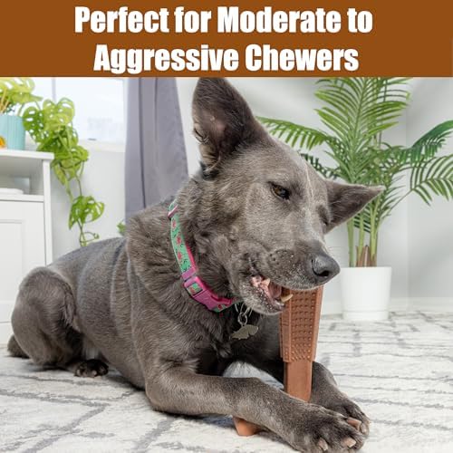 SPOT Bam-Bones Plus T-Bone Dog Chew, 60-90 lb Heavy Chewers - Image 5