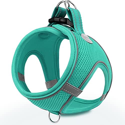 Joytale Step-in Dog Harness, Soft Breathable Mesh, Teal M by Joytale