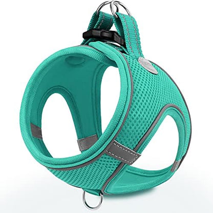 Joytale Step-in Dog Harness, Soft Breathable Mesh, Teal M by Joytale