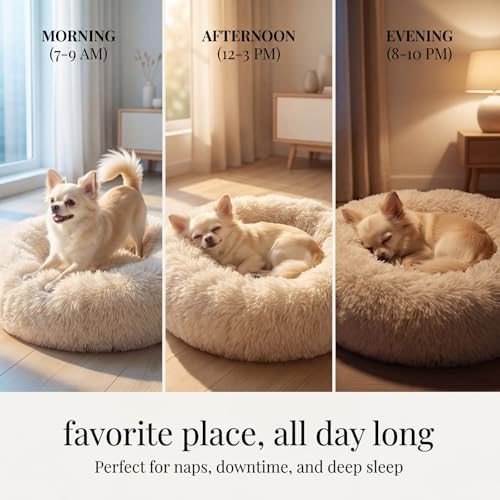 nononfish Puppy Bed for Small Dogs, Calming Donut Round Pet Bed - Image 6