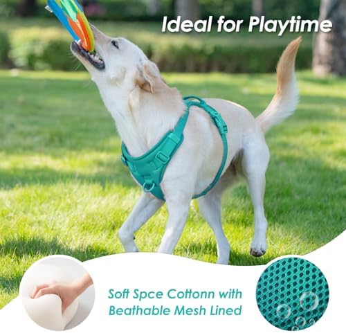 Sunraymascota No Pull Dog Harness - Image 2
