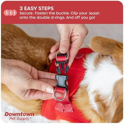 Downtown Pet Supply Step-in Dog Harness – No Pull, Adjustable Padded Mesh - Image 5