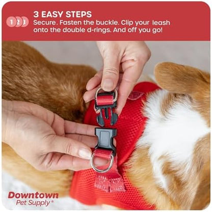 Downtown Pet Supply Step-in Dog Harness – No Pull, Adjustable Padded Mesh - Image 5