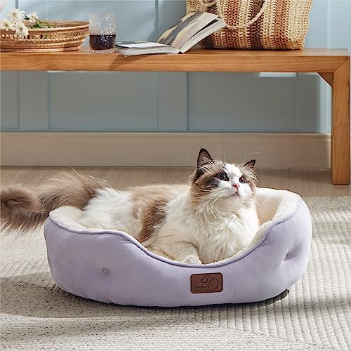 Bedsure Dog Beds for Small Dogs - Image 6