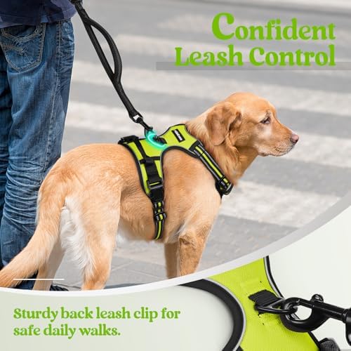 rabbitgoo Dog Harness, No Pull for Small Dogs - Image 6