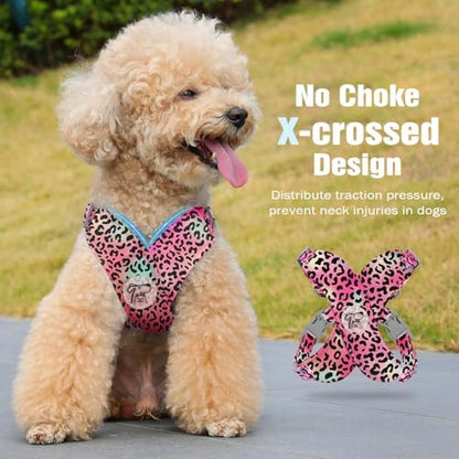Pawaboo Small Dog Harness and Leash Set, Puppy Harness X-Frame Adjustable - Image 3