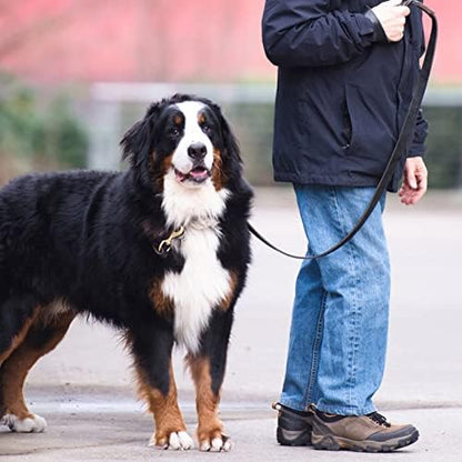 Leather Dog Leash - 6ft x 1/2 inch - Image 5