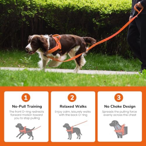 Didog No Pull Dog Harness for Medium Dogs, Soft Flannel Padded - Image 4