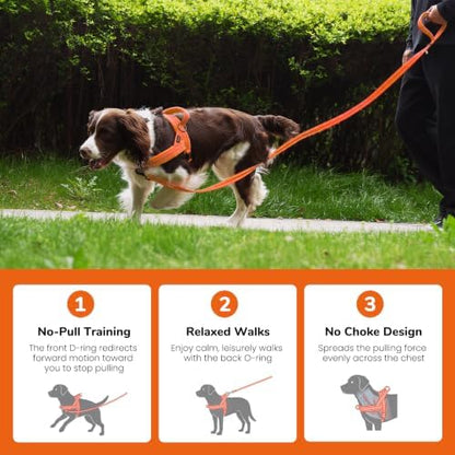 Didog No Pull Dog Harness for Small Dogs, Soft Flannel Padded - Image 3