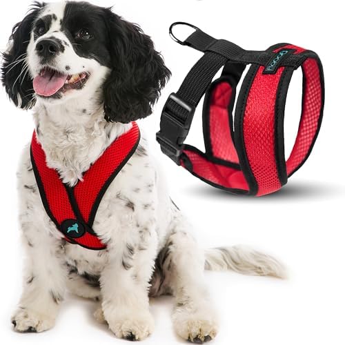 Gooby Comfort X Head-in Dog Harness, Choke-Free by Gooby