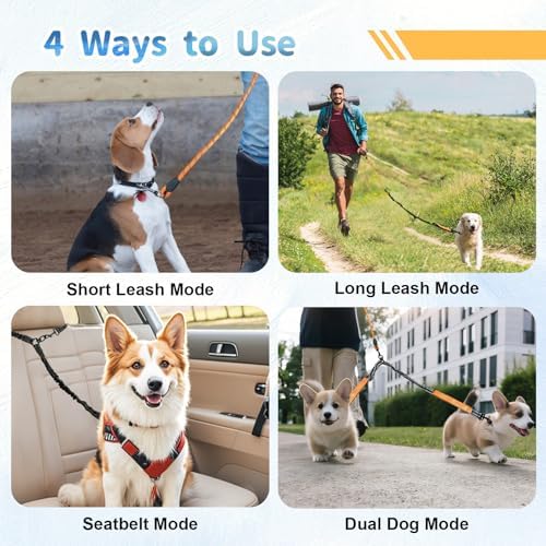Double Dogs Leash - Image 7